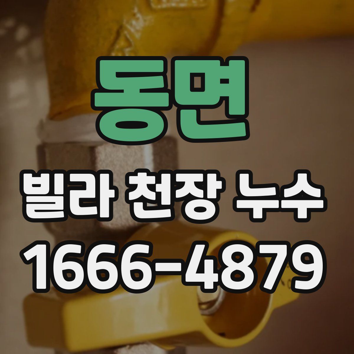 동면 빌라 천장 누수