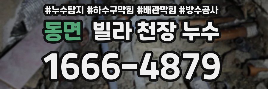 동면 빌라 천장 누수