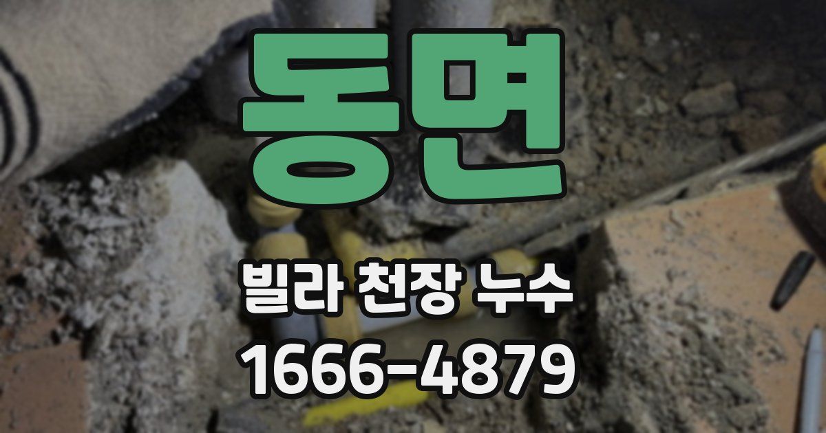 동면 빌라 천장 누수