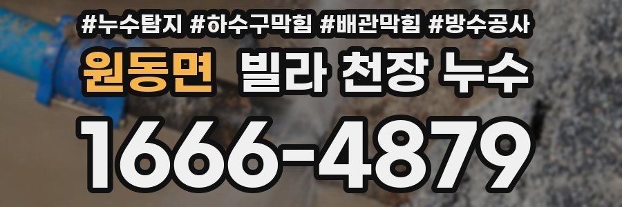 원동면 빌라 천장 누수