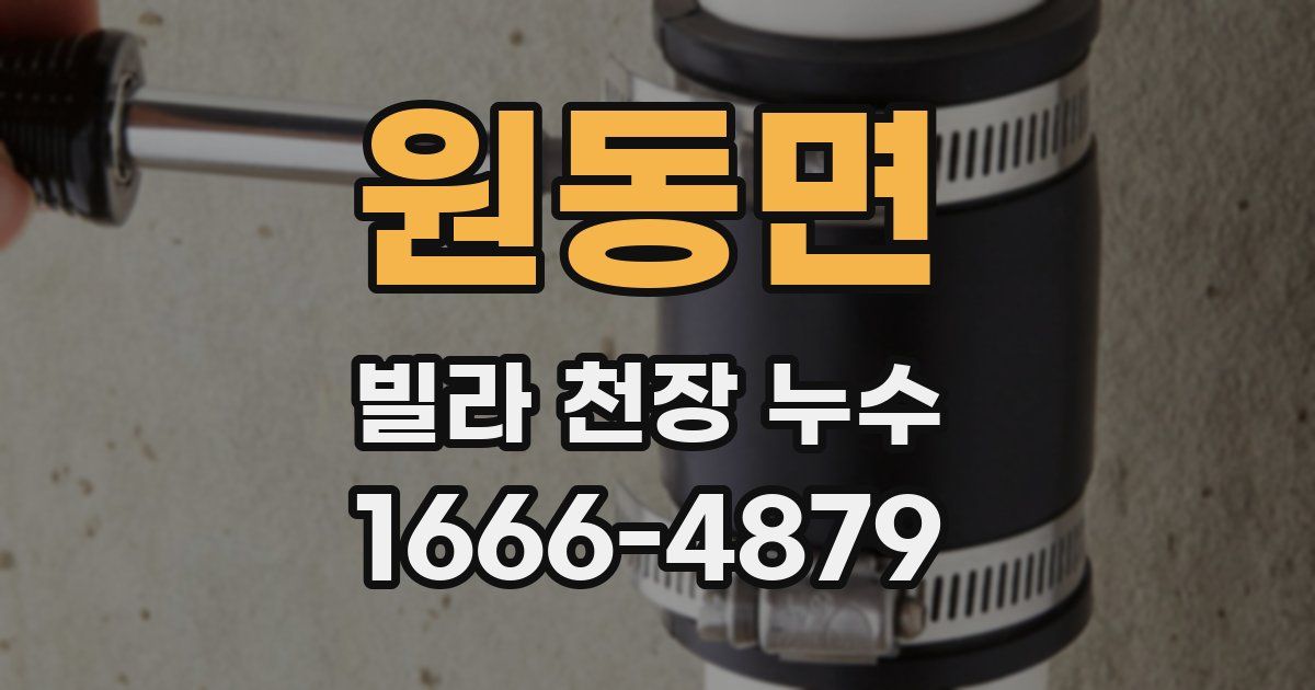 원동면 빌라 천장 누수