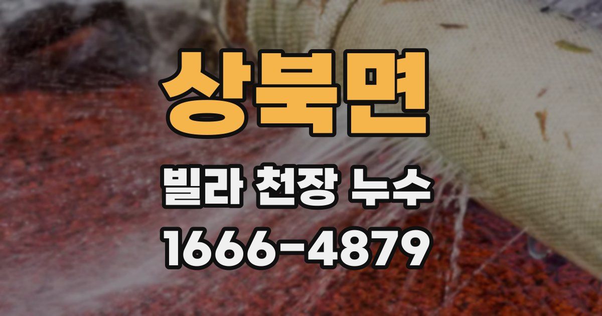 상북면 빌라 천장 누수