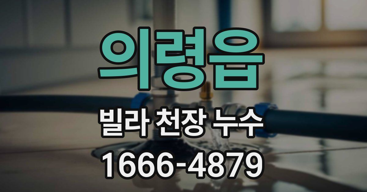 의령읍 빌라 천장 누수