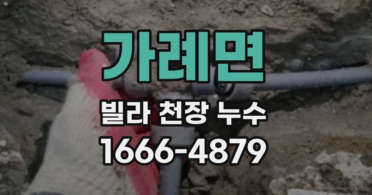 가례면 빌라 천장 누수