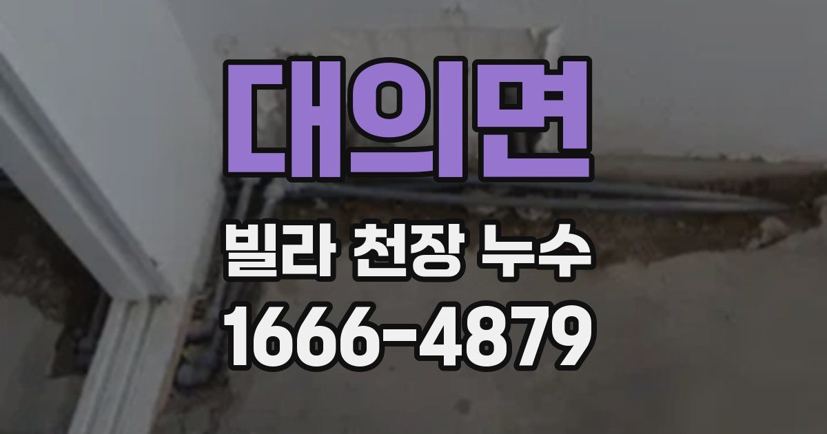 대의면 빌라 천장 누수