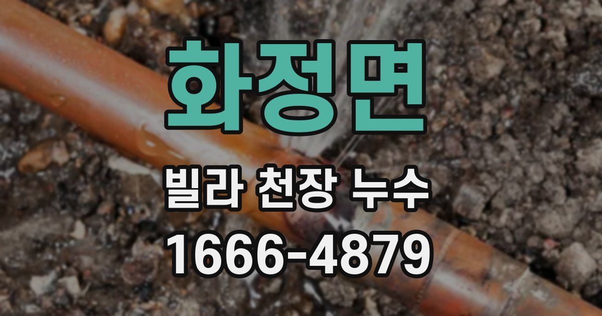 화정면 빌라 천장 누수