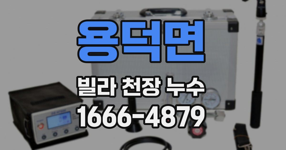 용덕면 빌라 천장 누수