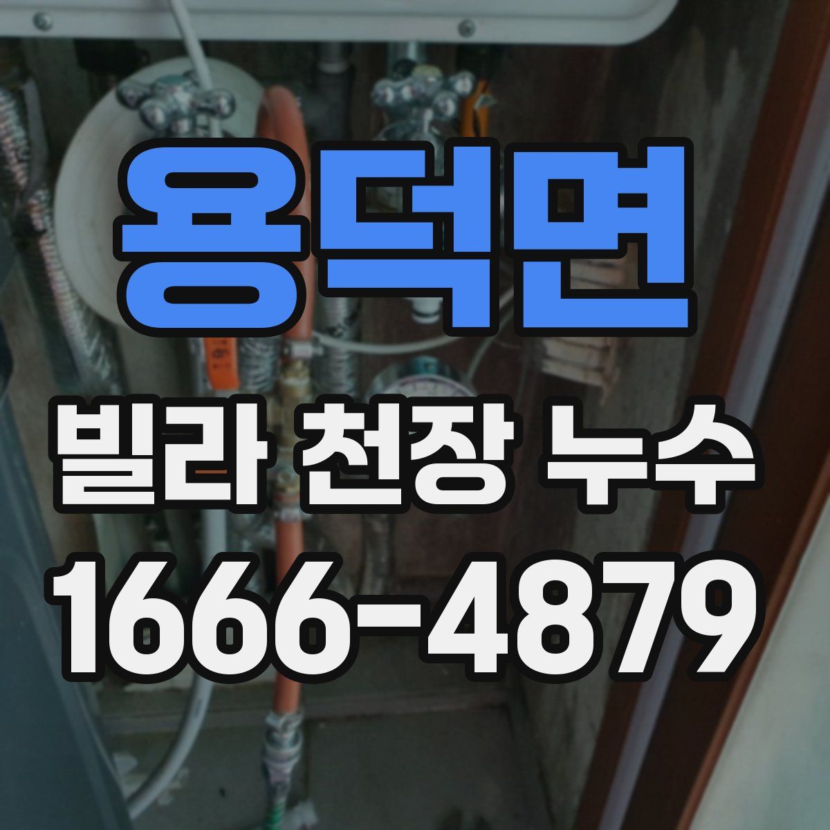 용덕면 빌라 천장 누수