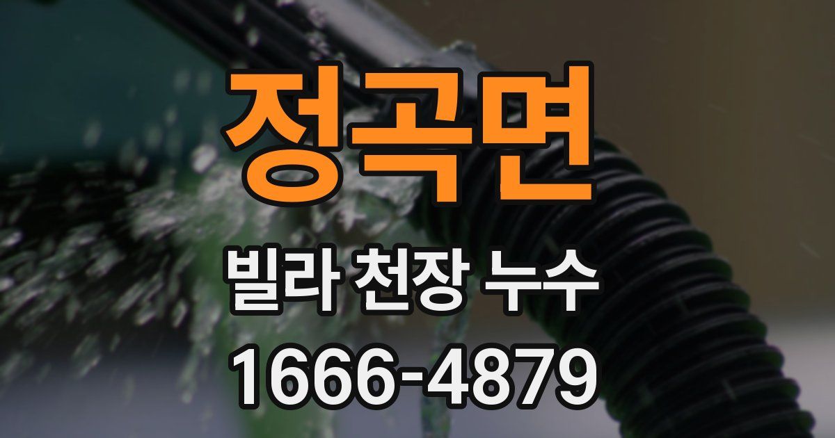 정곡면 빌라 천장 누수