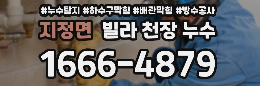 지정면 빌라 천장 누수