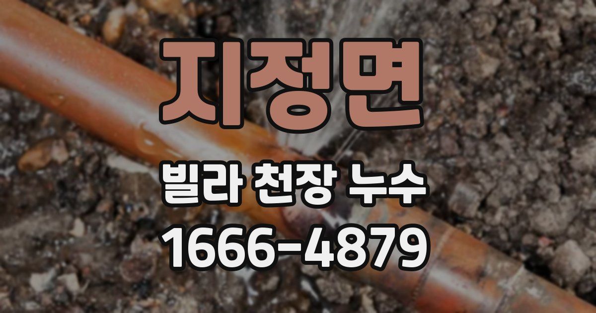 지정면 빌라 천장 누수