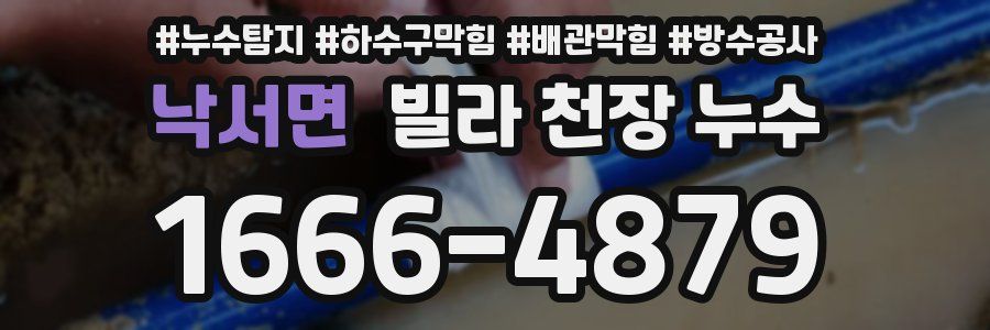 낙서면 빌라 천장 누수