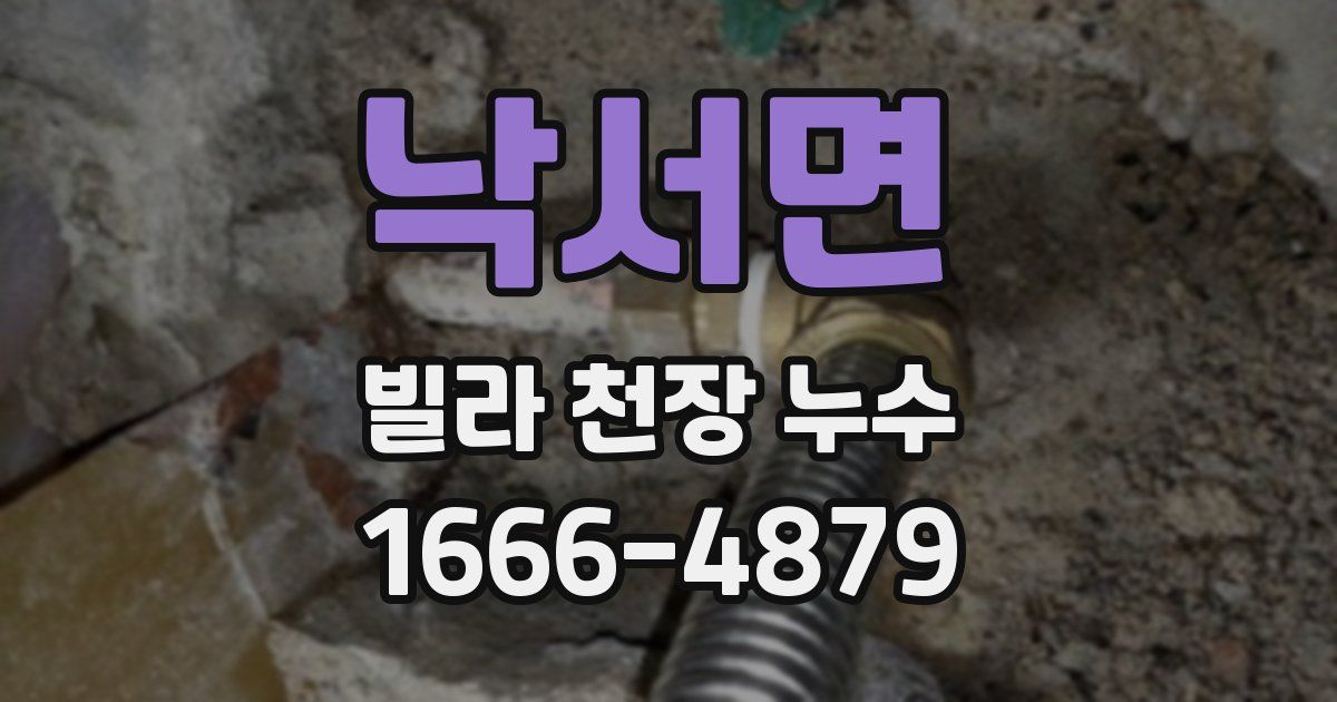 낙서면 빌라 천장 누수