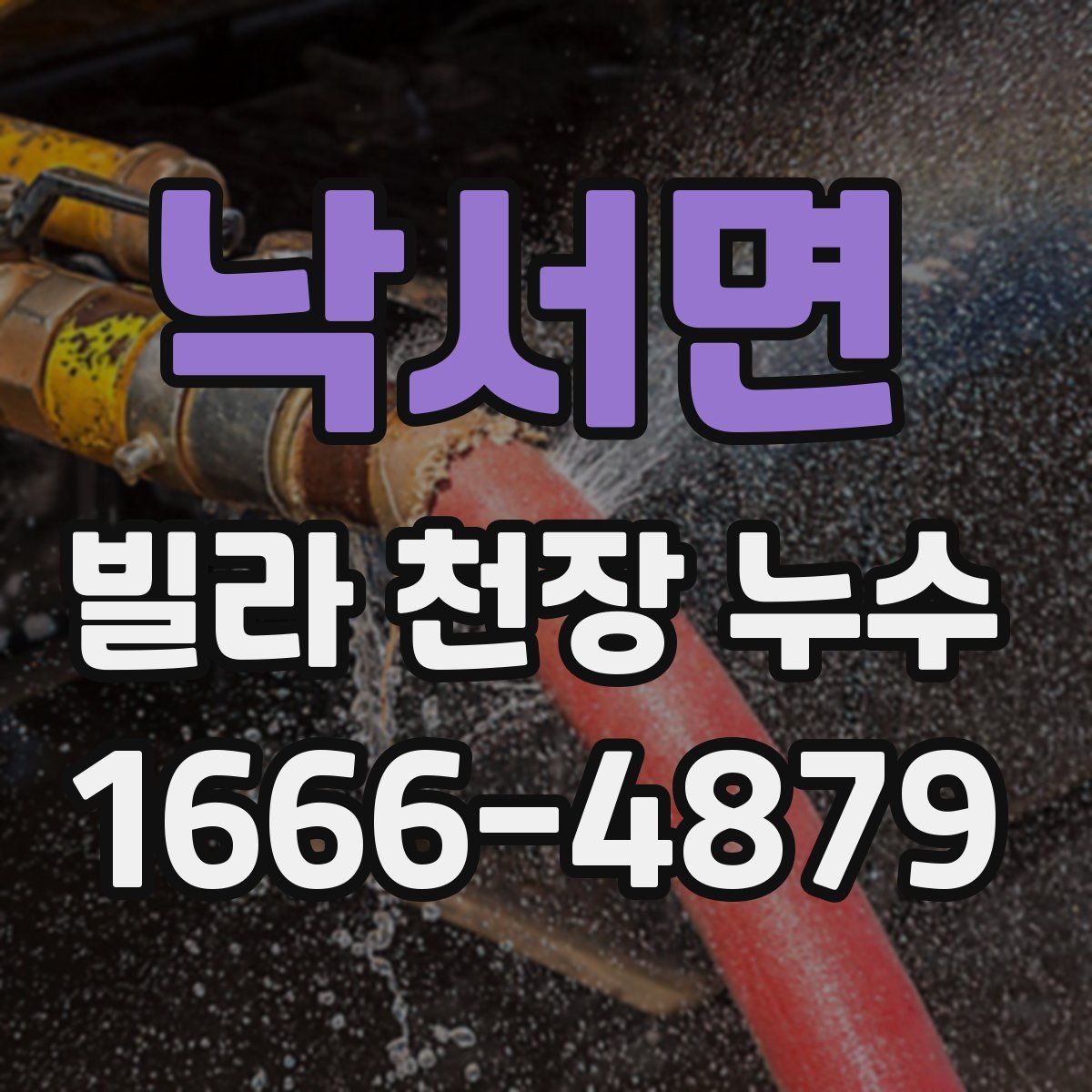 낙서면 빌라 천장 누수