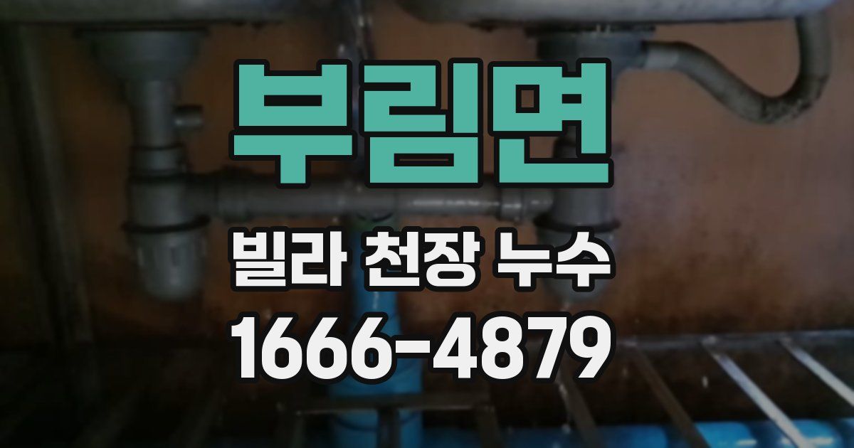 부림면 빌라 천장 누수