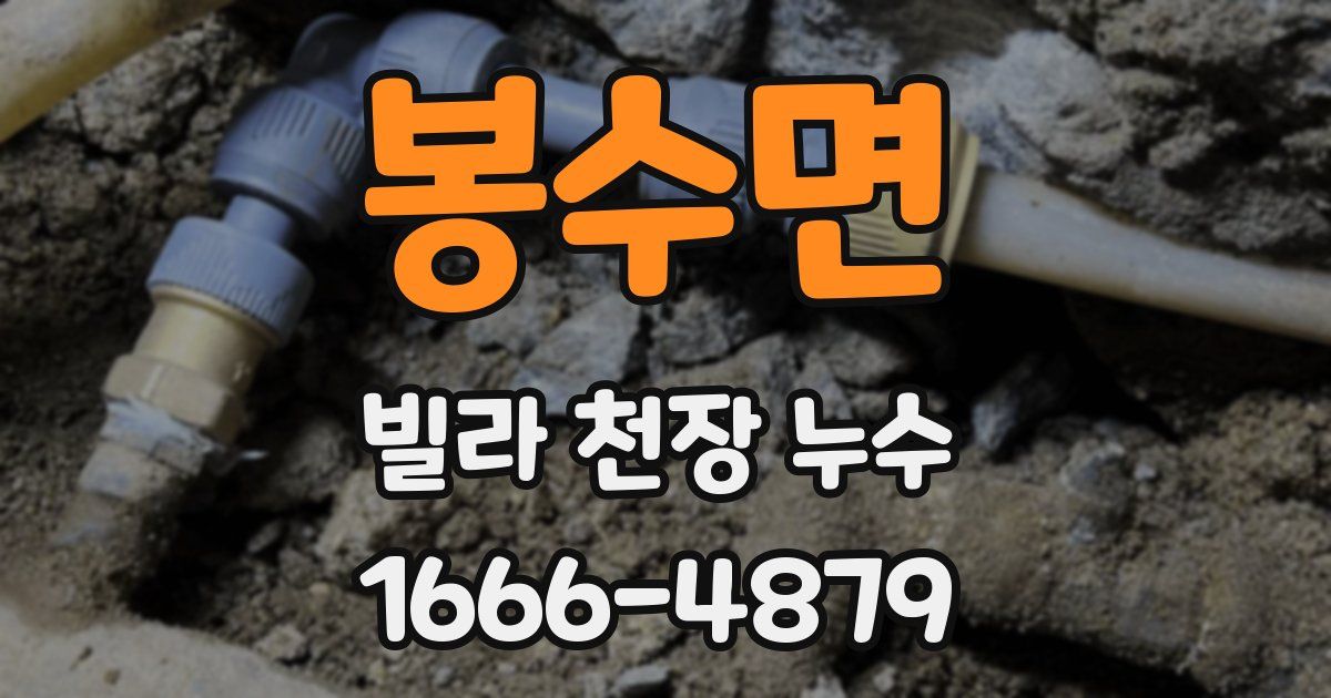 봉수면 빌라 천장 누수