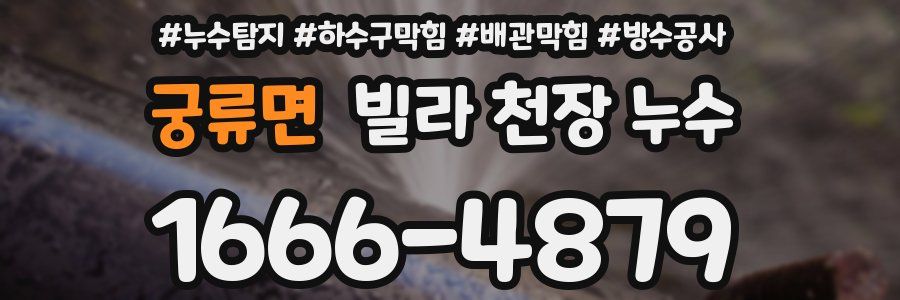 궁류면 빌라 천장 누수