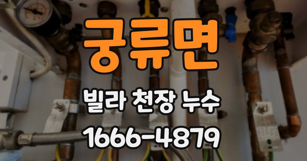 궁류면 빌라 천장 누수