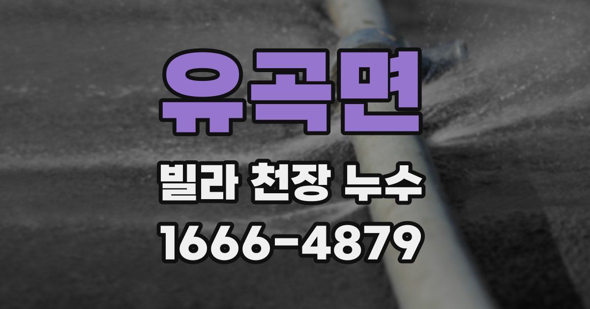유곡면 빌라 천장 누수