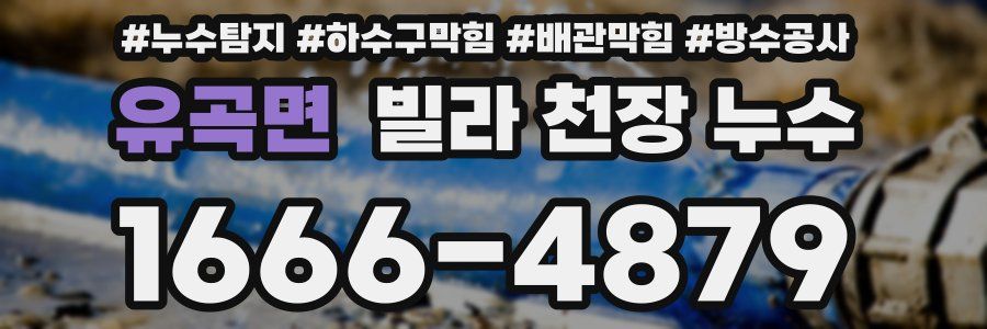 유곡면 빌라 천장 누수