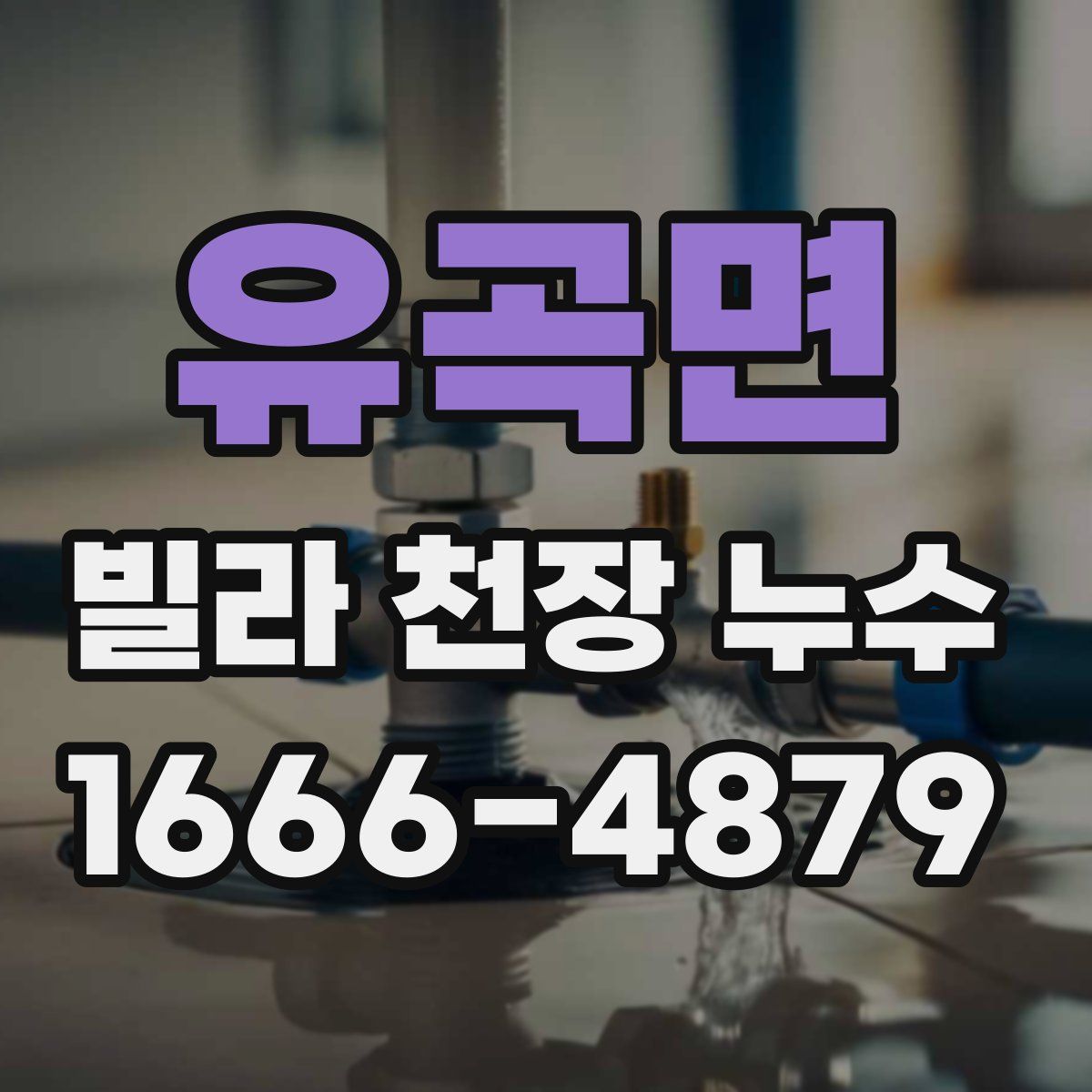 유곡면 빌라 천장 누수