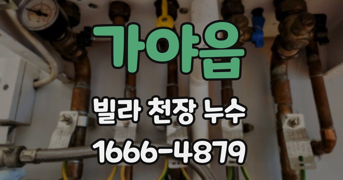 가야읍 빌라 천장 누수