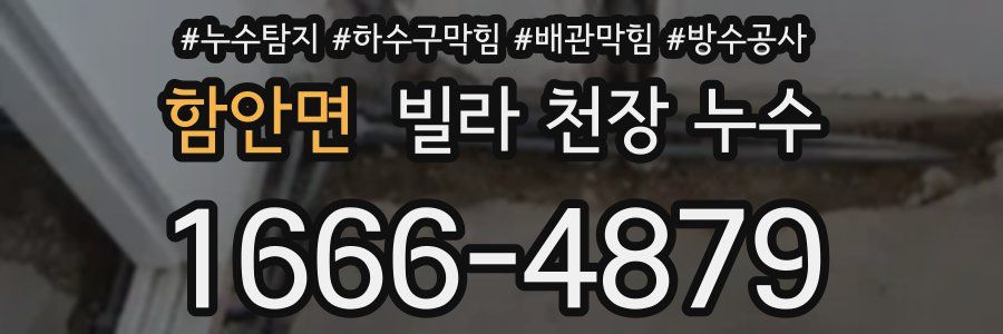 함안면 빌라 천장 누수