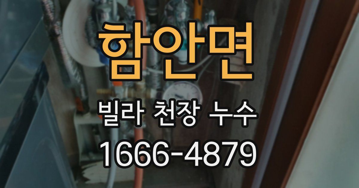 함안면 빌라 천장 누수