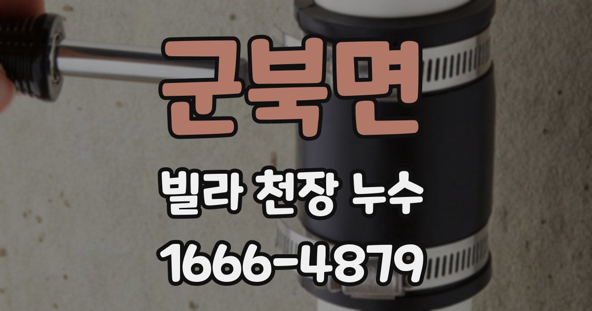 군북면 빌라 천장 누수