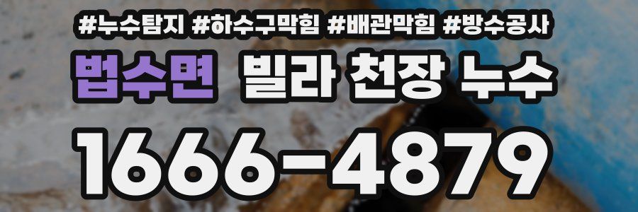 법수면 빌라 천장 누수