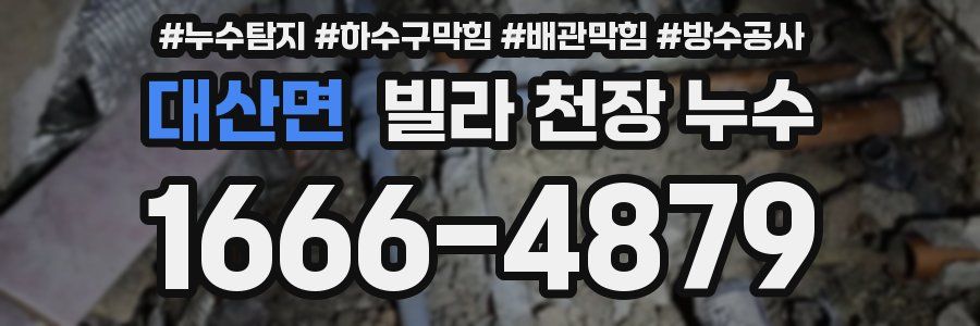 대산면 빌라 천장 누수