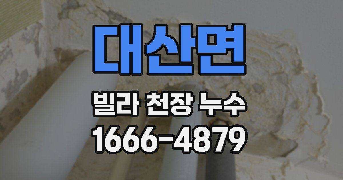 대산면 빌라 천장 누수