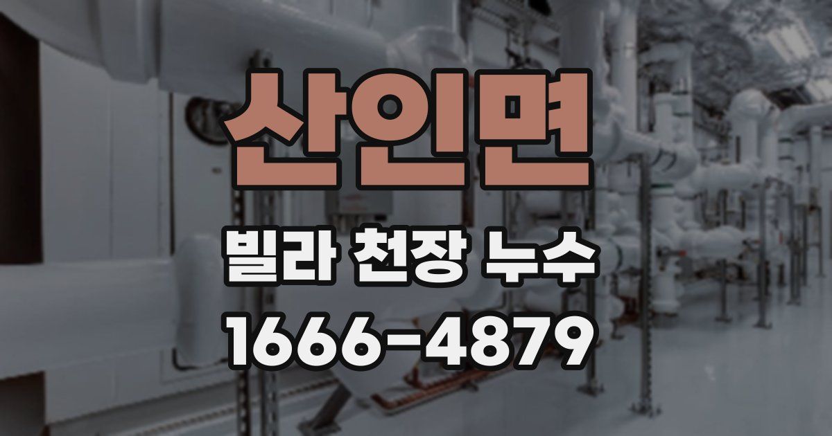 산인면 빌라 천장 누수