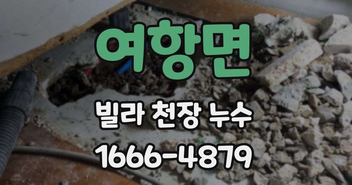 여항면 빌라 천장 누수