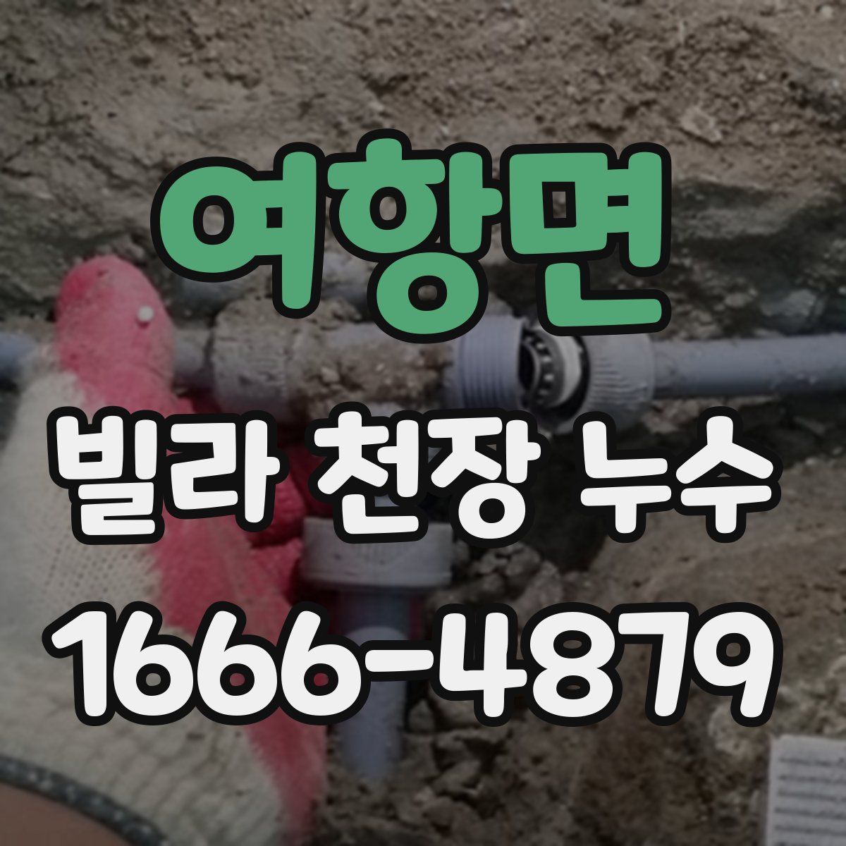 여항면 빌라 천장 누수