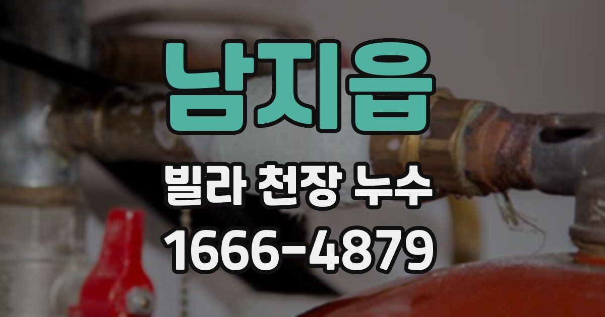 남지읍 빌라 천장 누수