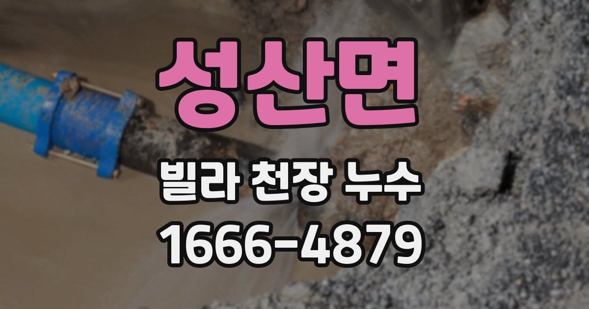 성산면 빌라 천장 누수