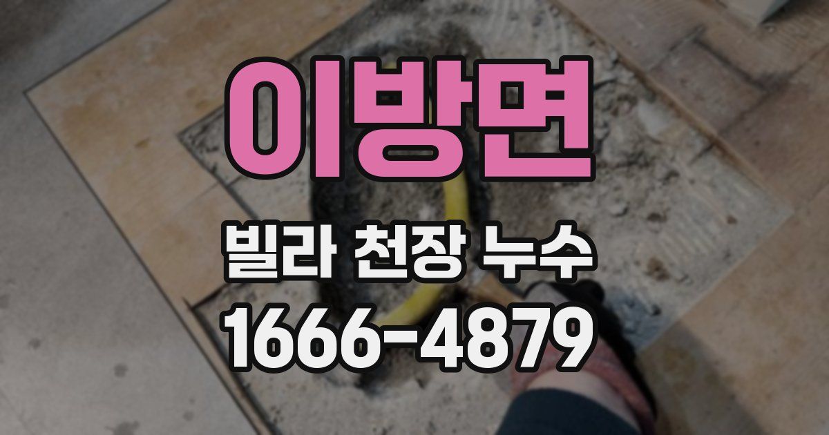 이방면 빌라 천장 누수