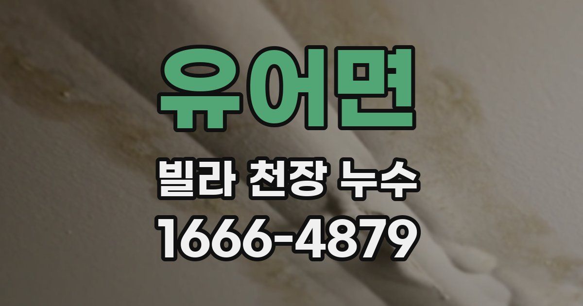 유어면 빌라 천장 누수