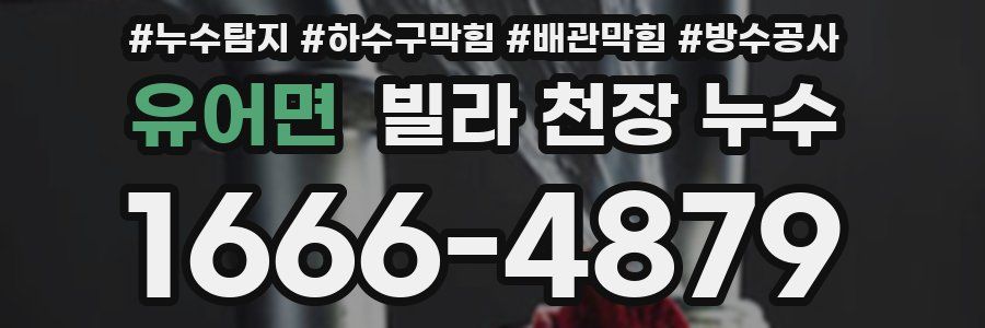 유어면 빌라 천장 누수