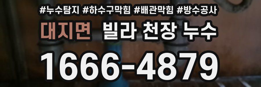 대지면 빌라 천장 누수
