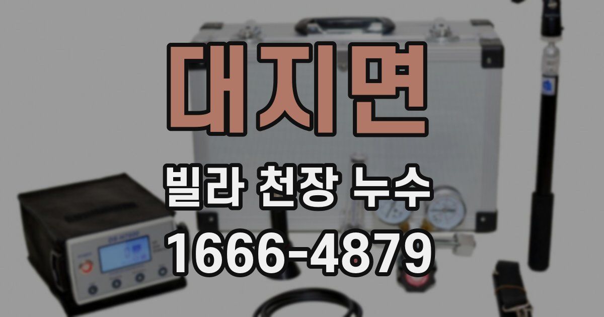 대지면 빌라 천장 누수