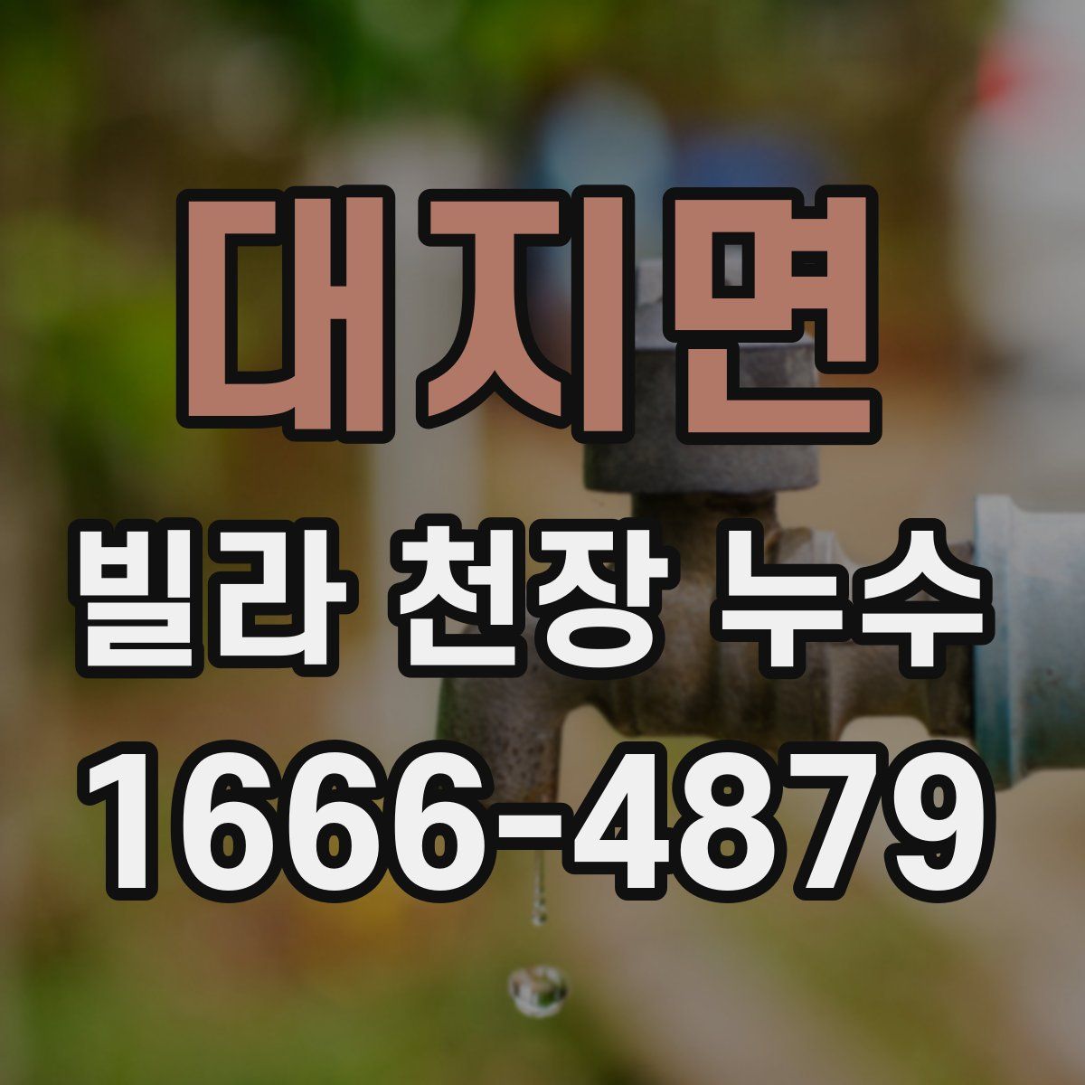 대지면 빌라 천장 누수
