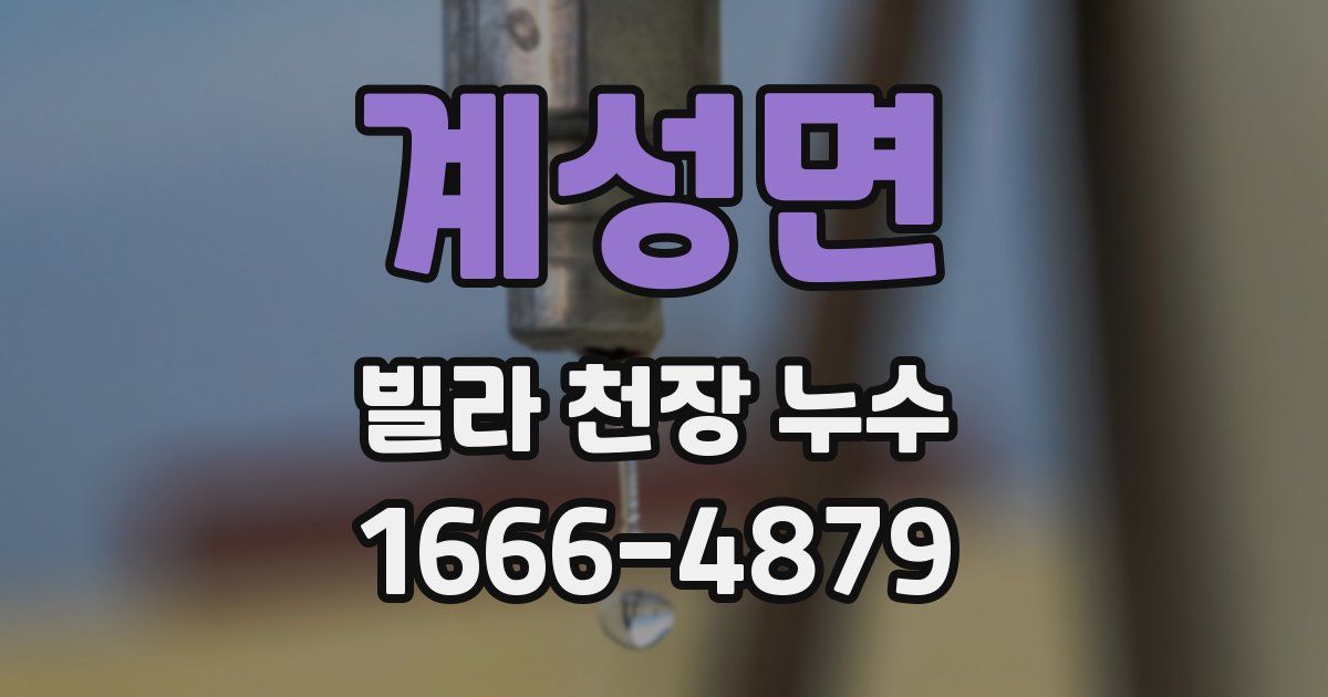 계성면 빌라 천장 누수