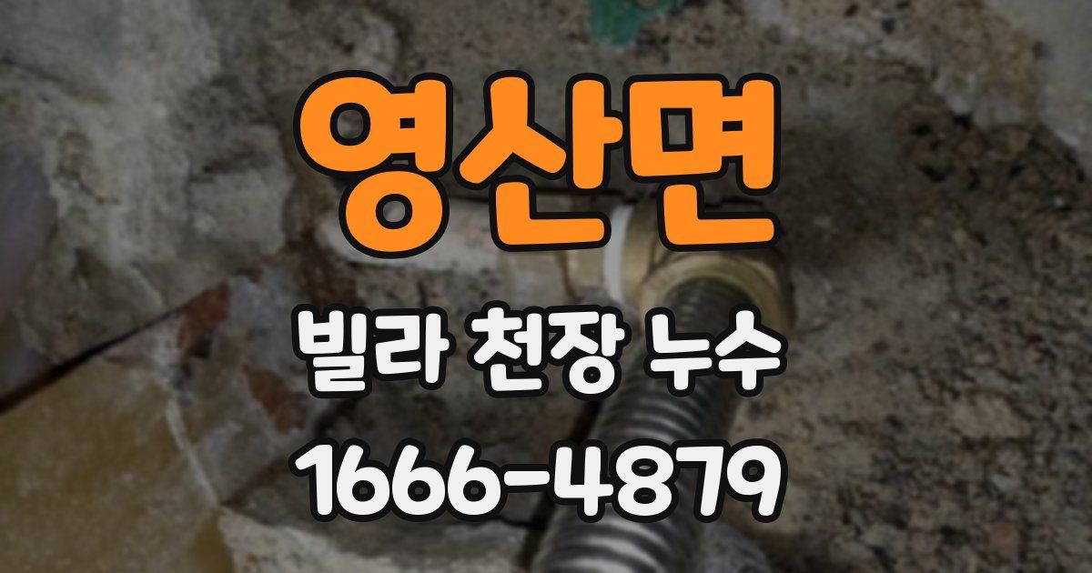 영산면 빌라 천장 누수