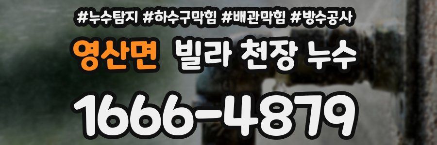 영산면 빌라 천장 누수