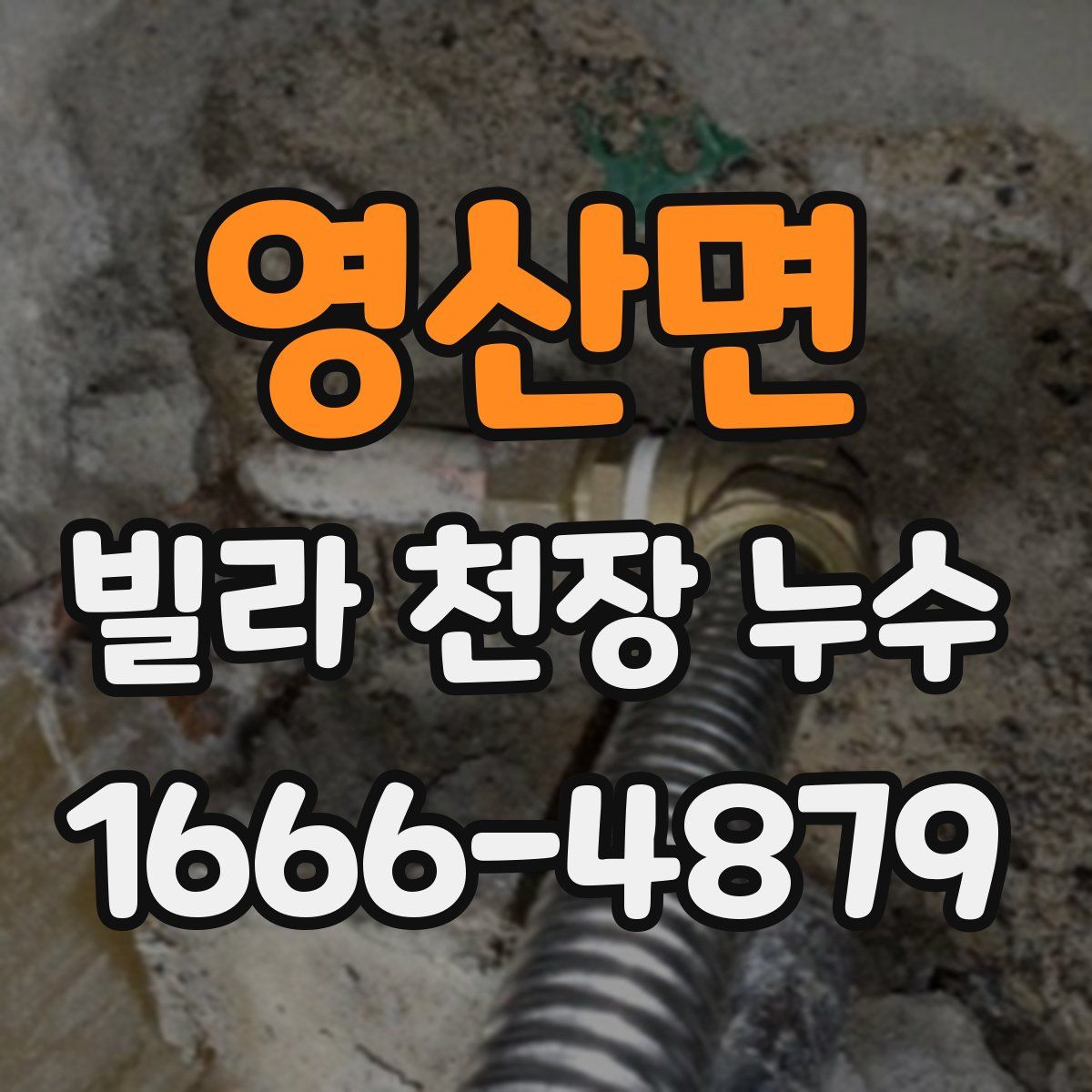 영산면 빌라 천장 누수