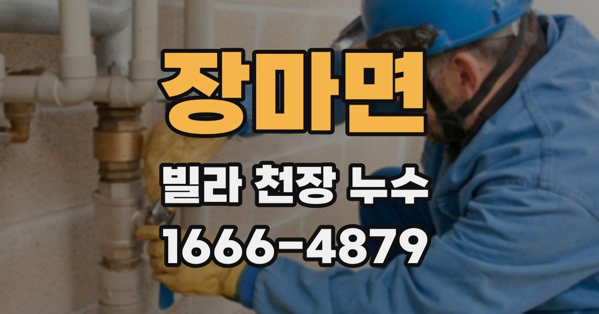 장마면 빌라 천장 누수