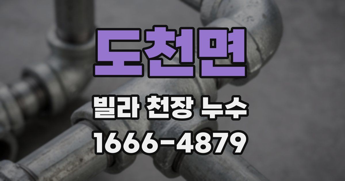 도천면 빌라 천장 누수