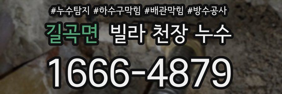 길곡면 빌라 천장 누수